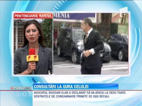 Avocatii lui Gigi Becali cauta solutii pentru eliberarea cat mai rapida a afaceristului