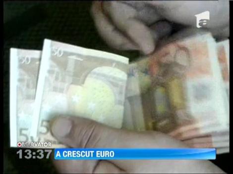 A crescut Euro