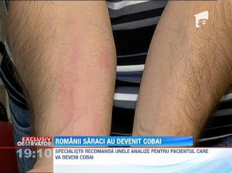 Romanii saraci se transforma in cobai