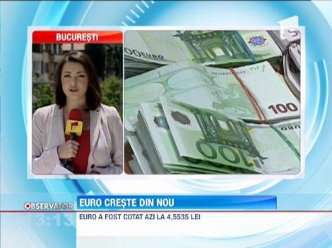 Euro creste din nou