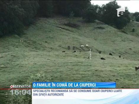 Familie intoxicata cu ciuperci, in Sibiu