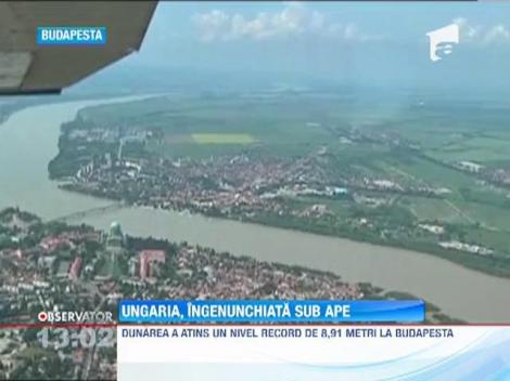 Ungaria, ingenuncheata sub ape