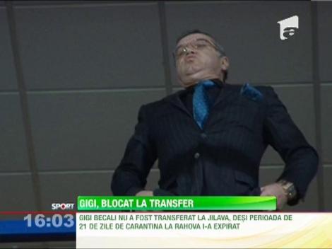 Transferul lui Gigi Becali la Jilava s-a amanat