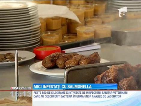 Mici infestati cu salmonela