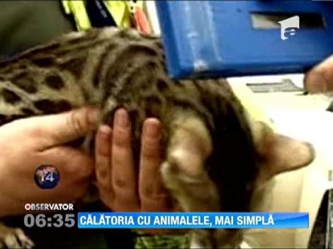 Calatoria cu un animal de companie in UE va deveni mai simpla
