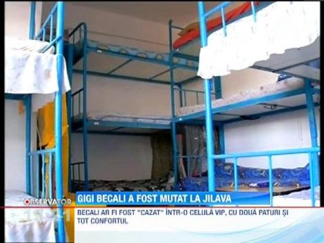 Gigi Becali a fost transferat de la Penitenciarul Rahova la cel din Jilava