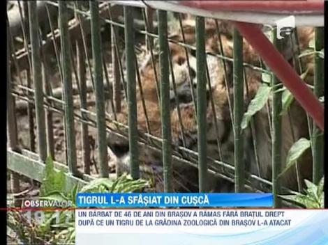 UPDATE / Ingrijitor atacat de tigru la Gradina Zoologica din Brasov