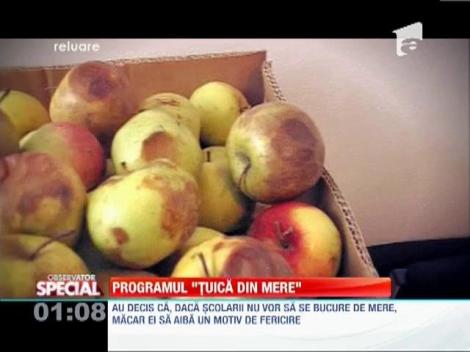 Merele destinate de Guvern elevilor, transformate in tuica