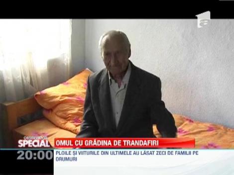 Un batran isi ingrijeste gradina cu trandafiri, chiar daca viitura i-a distrus casa