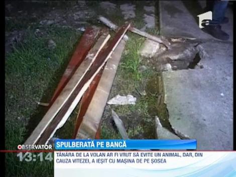 Doua batrane spulberate pe o banca, de o soferita din Gorj