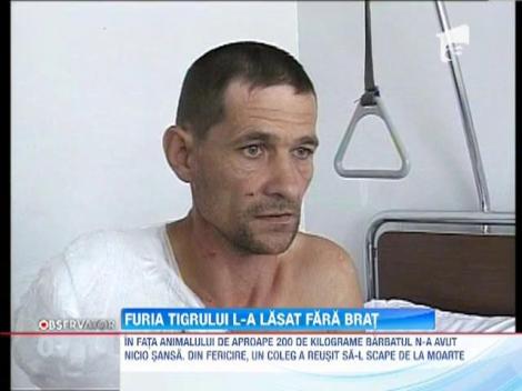 Ingrijitorul atacat de tigru la Gradina Zoologica din Brasov a ramas fara brat