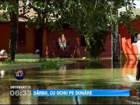 Apele Dunarii au ajuns la un nivel record in Serbia
