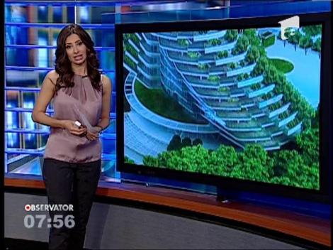 Padure artificiala, in Taiwan