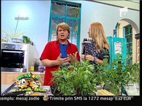 "Paste racoroase de vara"