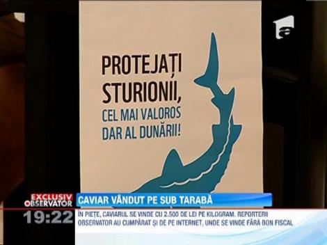 Trufandale vandute ca-n epoca comunista! Pe sub tarabe, comerciantii ascund icre negre