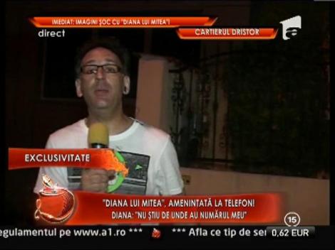 Diana lui Nicolae Mitea, amenintata la telefon!