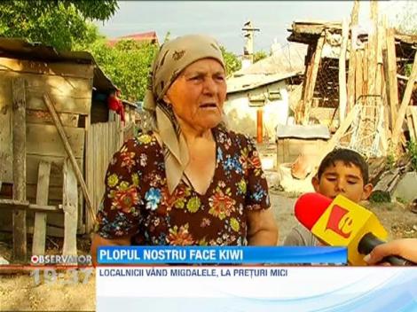 Bananele si rodiile vor fi fructe romanesti!