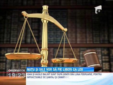 Nutu Camataru vrea in libertate