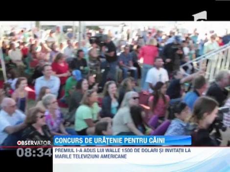 Concurs de uratenie pentru caini