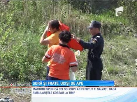 Doi frati au murit inecati in raul Arges