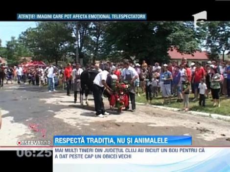 IMAGINI SOCANTE! / Au biciuit un bou pentru ca a dat peste cap un obicei vechi