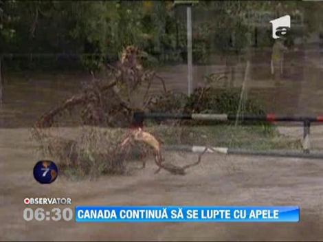 Canada continua sa lupte cu apele