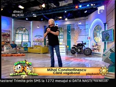 Mihai Constantinescu - "Cainii vagabonzi"