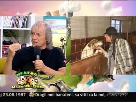 Mihai Constantinescu, despre problema cainilor vagabonzi: "Singura rezolvare este sterilizarea femelelor"