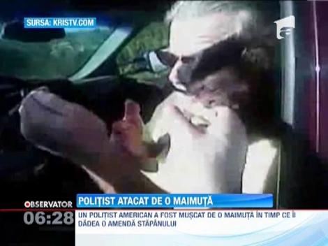 Politist atacat de o maimuta
