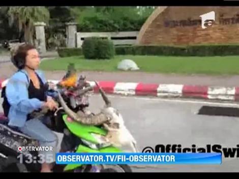 Cea mai rea motociclista! (VIDEO)