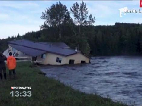 Casa inghitita de ape