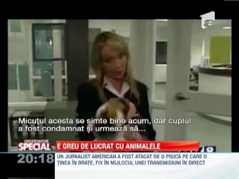 Cele mai grele transmisiuni in direct