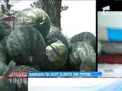 Au aparut pepenii de Dabuleni! Cei mai multi vin, insa, din Grecia sau Turcia!