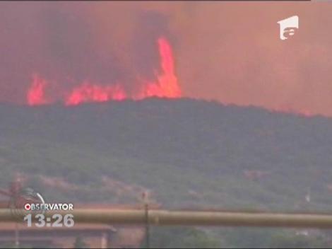 Incendiile care devasteaza statul american Arizona au luat viata a 19 pompieri