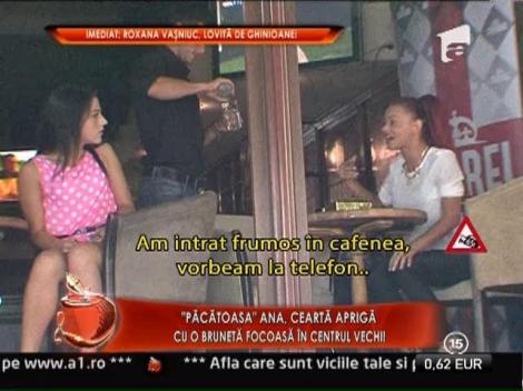 Ana Maria Mocanu, cearta apriga la o terasa