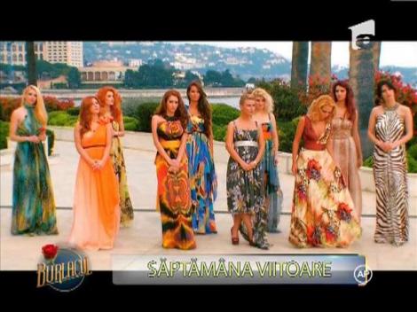 Promo - editia urmatoare