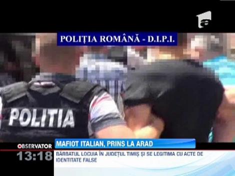 Mafiot italian, prins la Arad