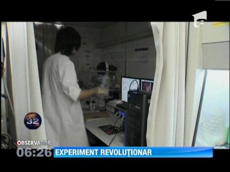 Cercetatorii japonezi au creat un ficat uman din celule stem