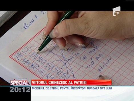 Tot mai multi romani se inscriu la cursuri de limba chineza