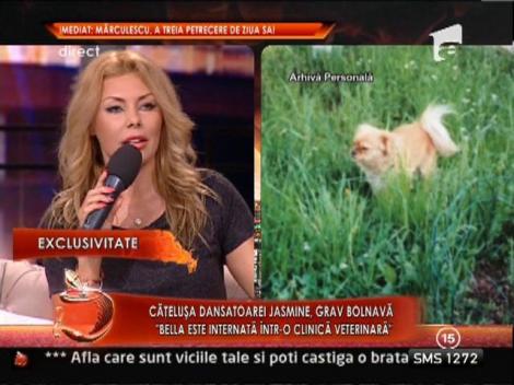 Catelusa dansatoarei Jasmine sufera de o boala incurabila!