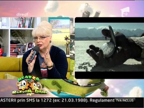 Irina Margareta Nistor, vocea filmelor romanesti, despre peliculele "Minions" si "The Lone Ranger