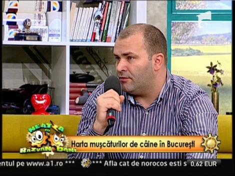 Harta muscaturilor de caine in Bucuresti