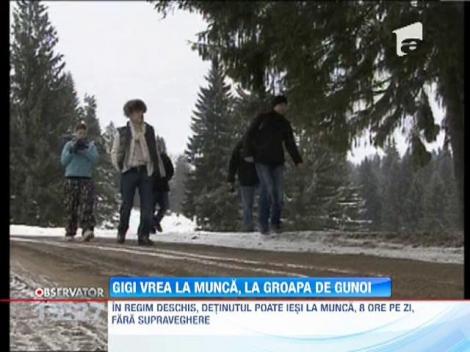 Gigi Becali vrea sa mearga la munca