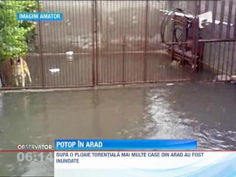 O ploaie torentiala a transformat Aradul intr-o mica Delta