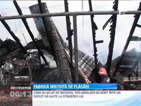 O fabrica de prelucrare a lemnului din Arges a fost mistuita de flacari