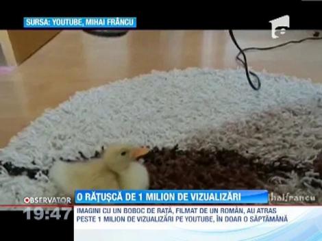 O ratusca de 1 milion de vizualizari