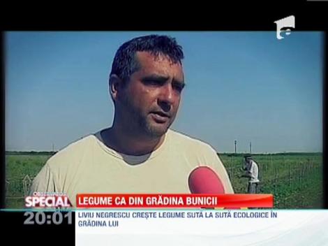 Legume ca in gradina bunicii