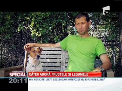 Cateii adora fructele si legumele