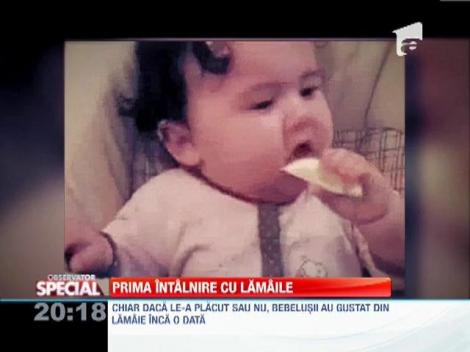 Bebelusii, prima intalnire cu lamaile