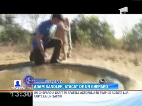 Adam Sandler a fost atacat de un ghepard